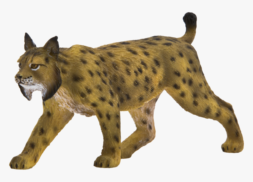 Animal Planet Iberian Lynx , Png Download - Iberian Lynx Png, Transparent Png