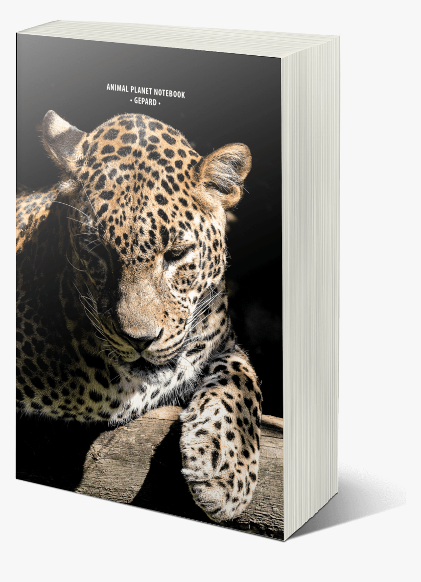 Mock05 - African Leopard, HD Png Download