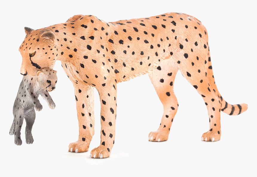 Animal Planet Png, Transparent Png