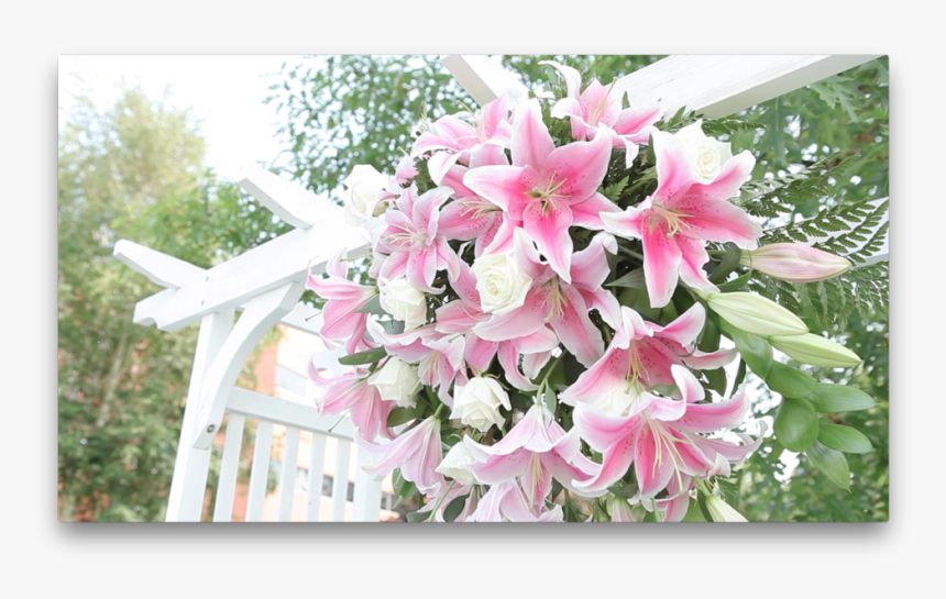 Lillies On An Arch - Lily, HD Png Download