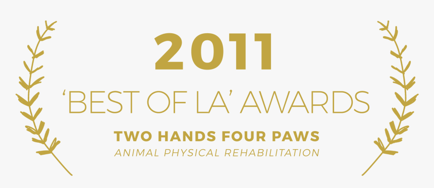 Cannes Laurel Film, HD Png Download