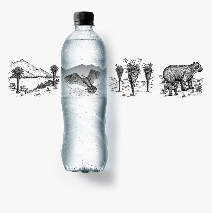 Etiqueta Lg 
 Title Zalva Botella - Agua Zalva, HD Png Download