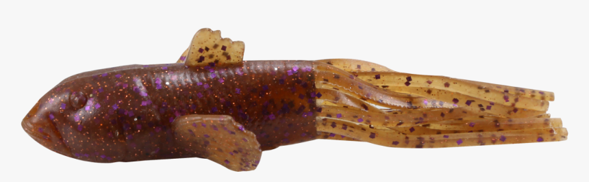 Hellbender, HD Png Download