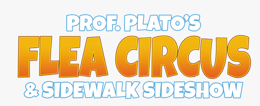 Orange, HD Png Download