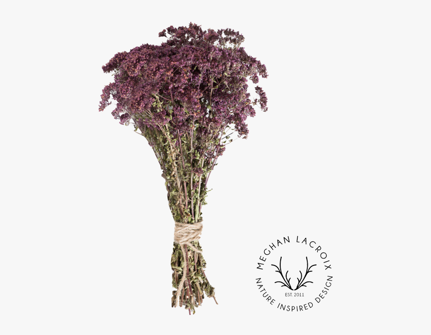 Preserved Greek Oregano - Artificial Flower, HD Png Download