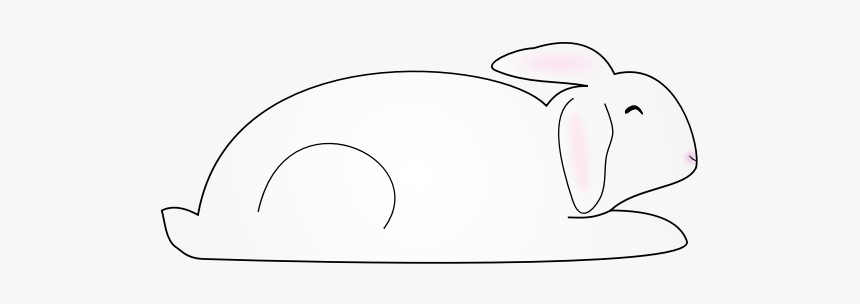 White Bunny Rabbit - Rabbit, HD Png Download