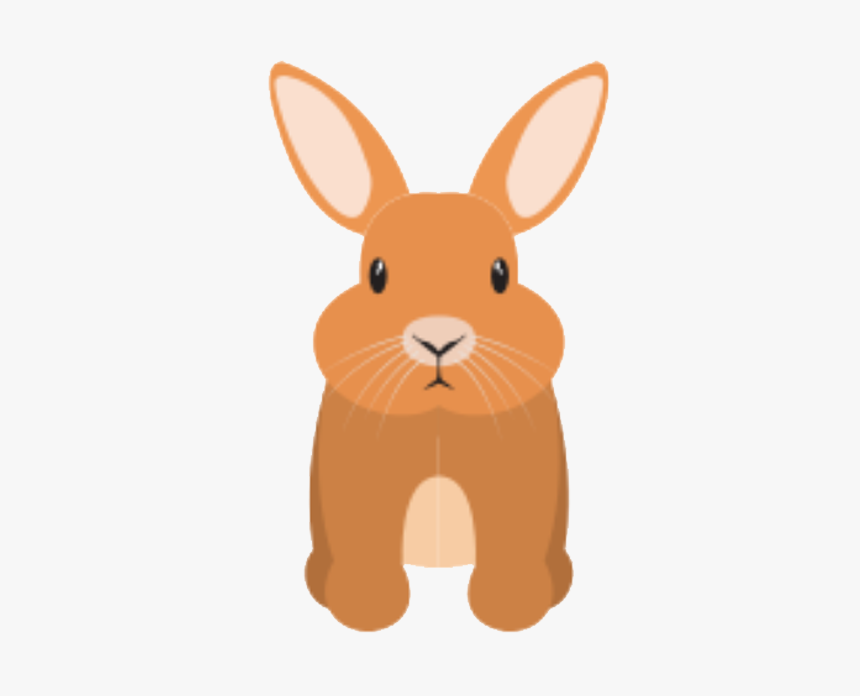 Domestic Rabbit, HD Png Download