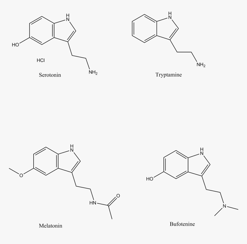 Diagram, HD Png Download