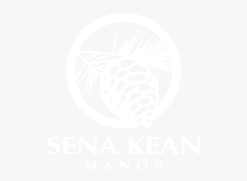 Senegal Airlines, HD Png Download