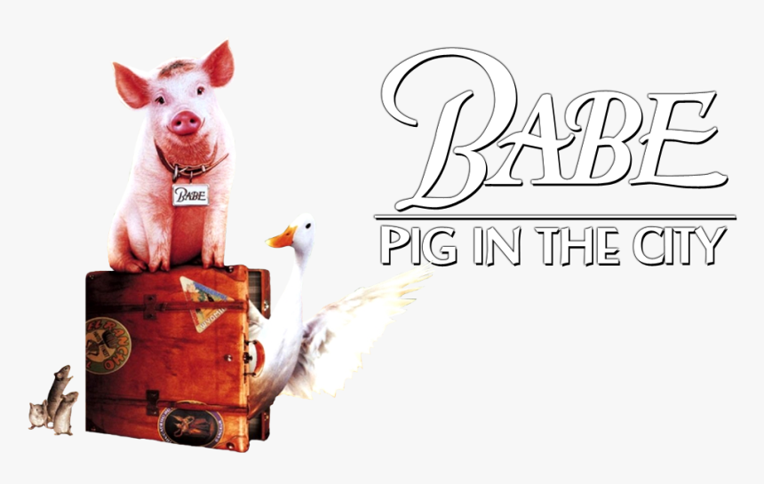 Transparent Babe Png - Babe Pig In The City Png, Png Download