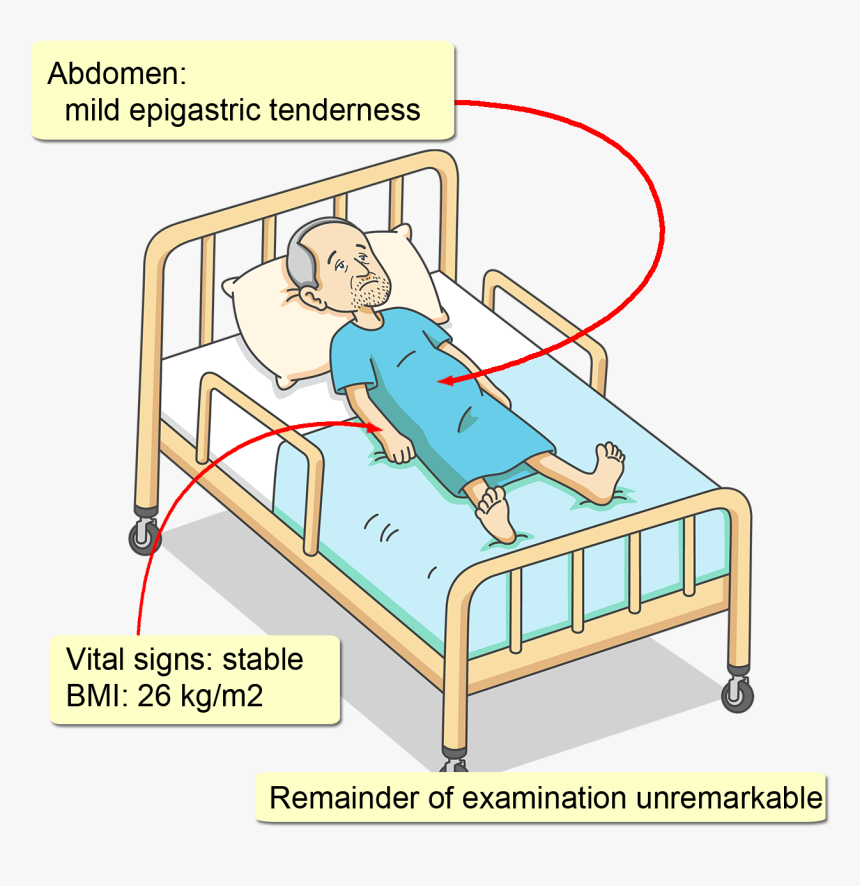 Cartoon, HD Png Download