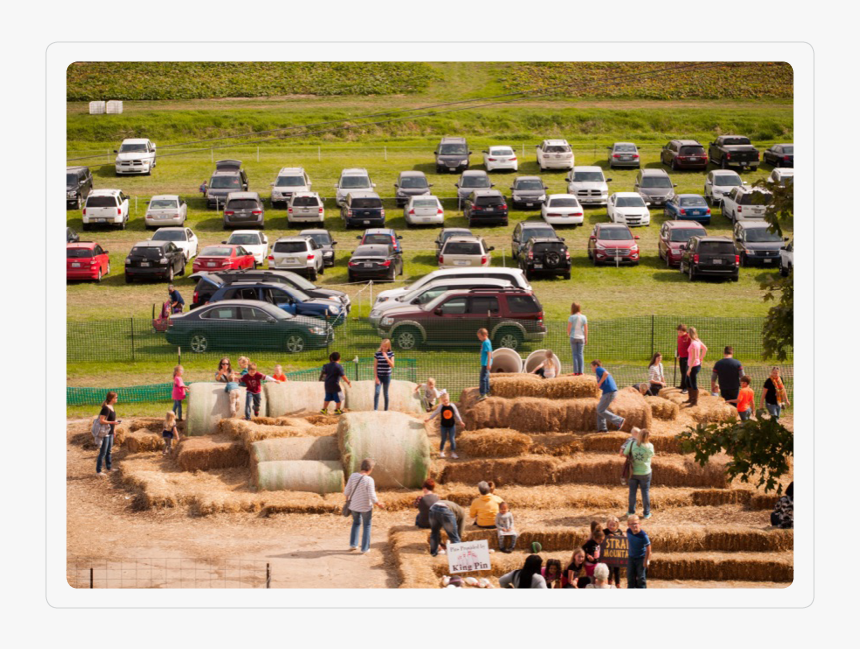 Grass, HD Png Download