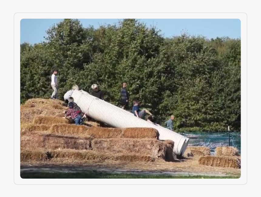 Haystack Mountain - Tree, HD Png Download