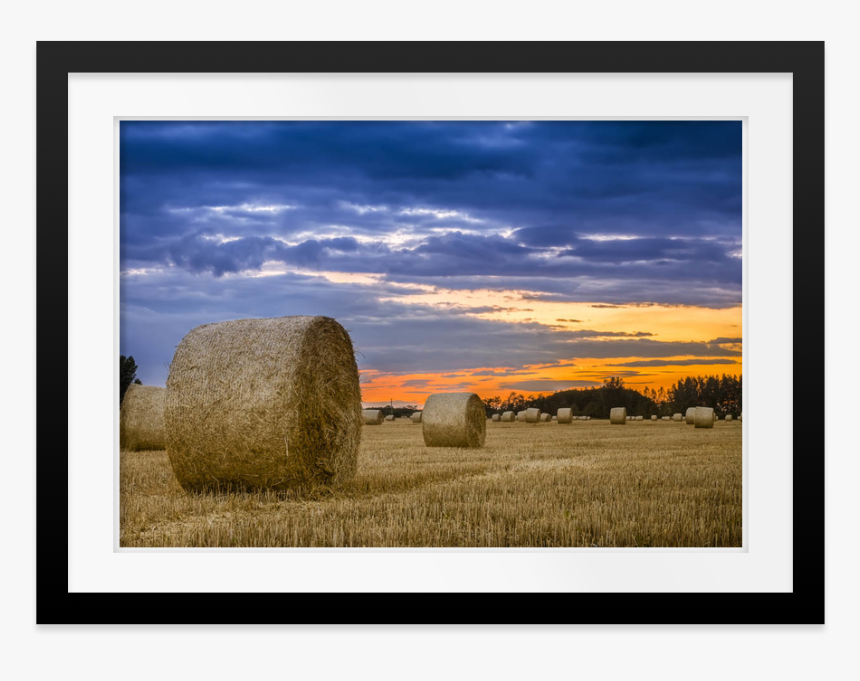 Hay, HD Png Download