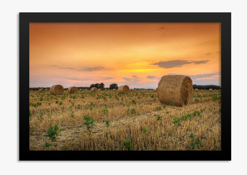 Grass, HD Png Download