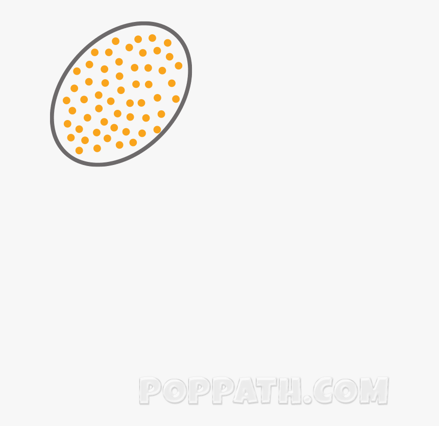 Circle, HD Png Download