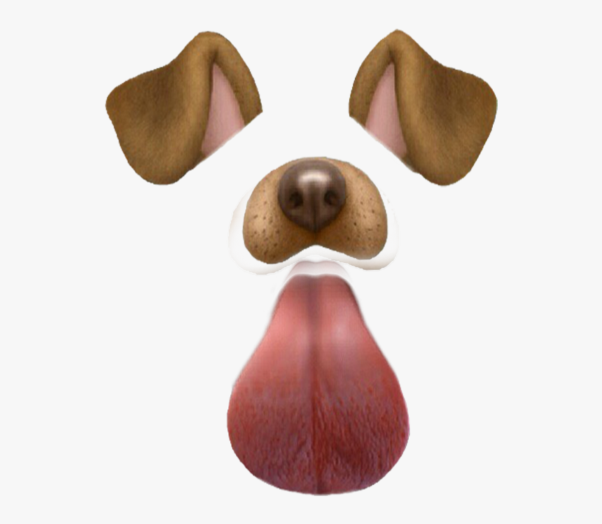 Companion Dog, HD Png Download