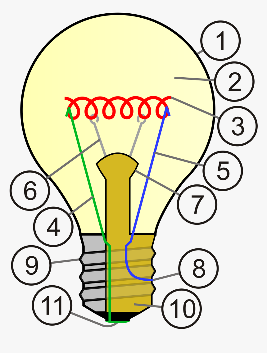 Lampada A Incandescenza Wikipedia - Light Bulb Cross Section, HD Png Download
