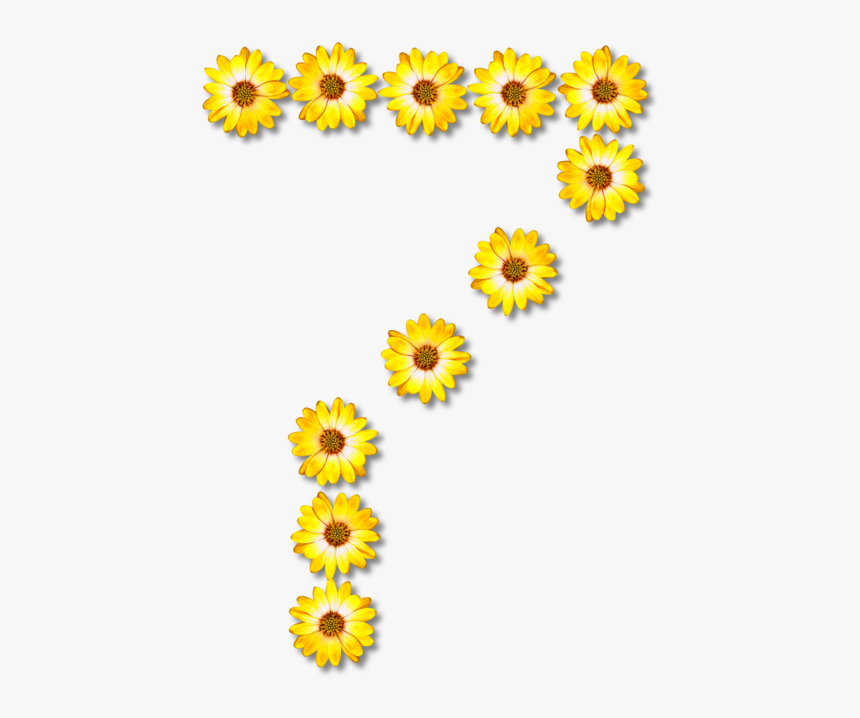 Sunflower Seed,plant,flower - Common Sunflower Transparent, HD Png Download