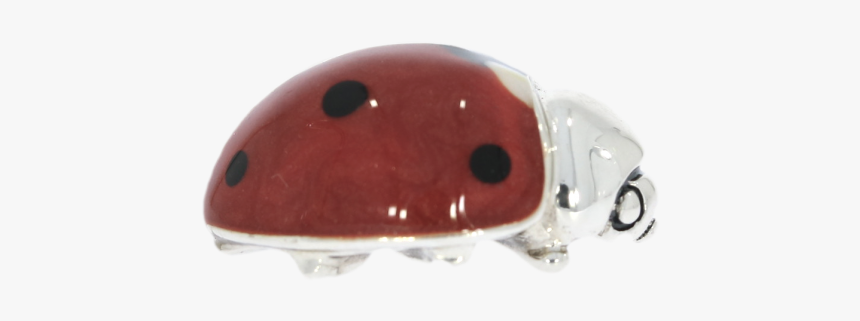 Ladybug, HD Png Download