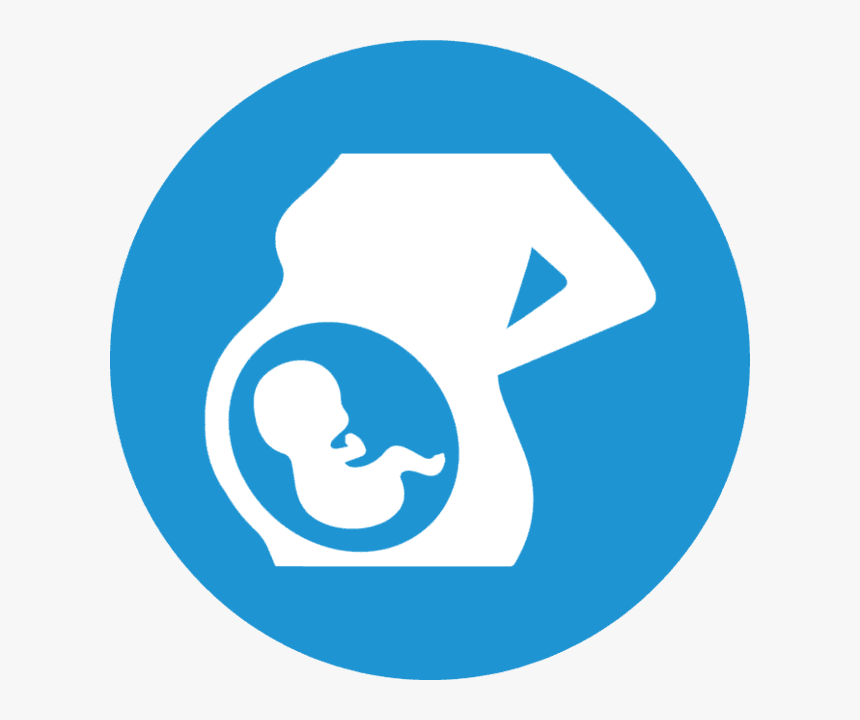 Transparent Obs Icon Png - Twitter Moments Icon, Png Download