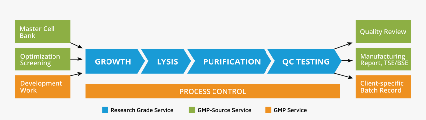 Plasmid Dna Manufacturing Process, HD Png Download