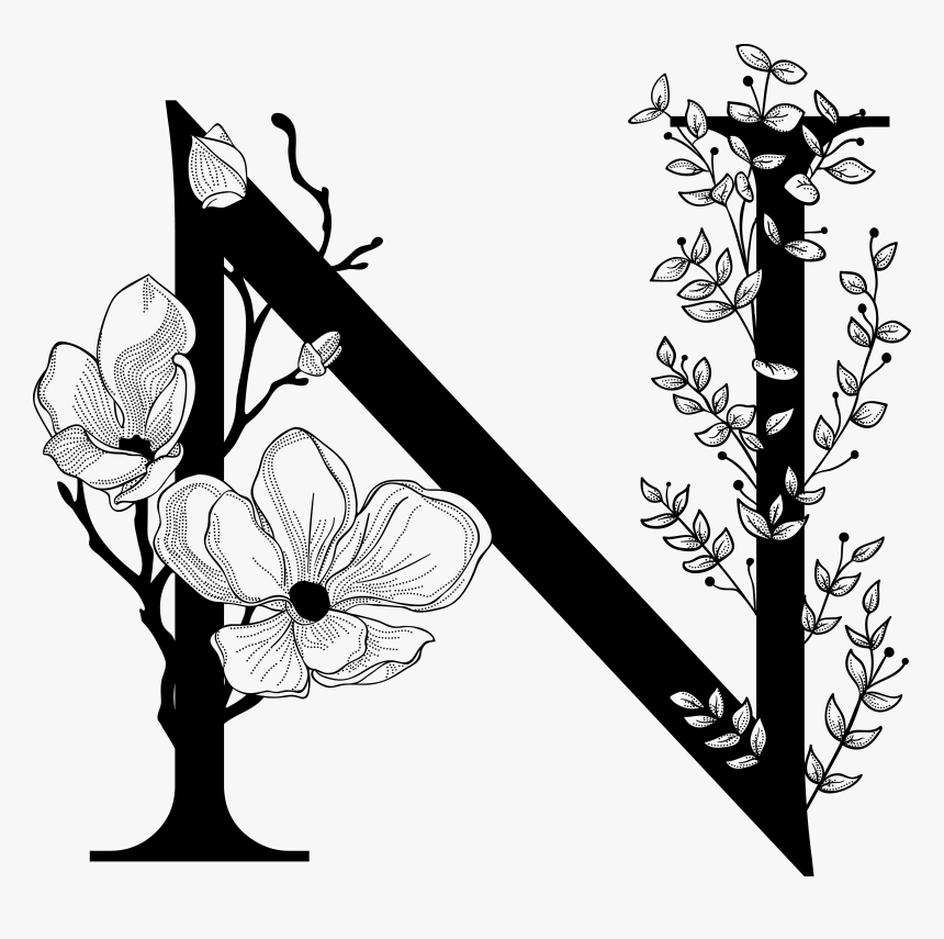 A Mad Pursuit - Letter N Flower Drawing, HD Png Download