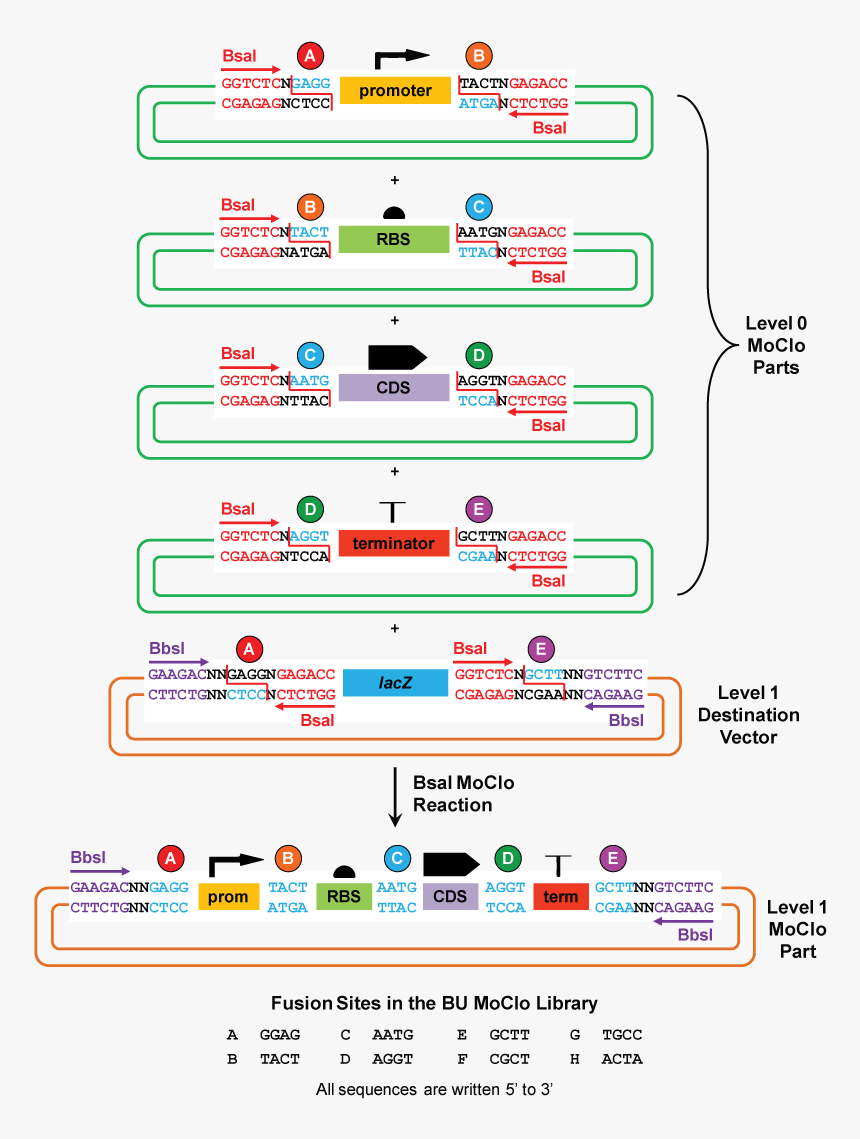 Screenshot, HD Png Download