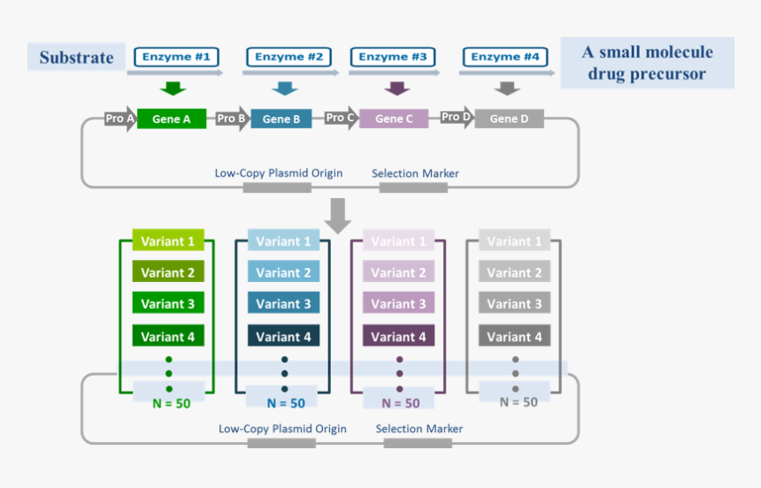 Screenshot, HD Png Download