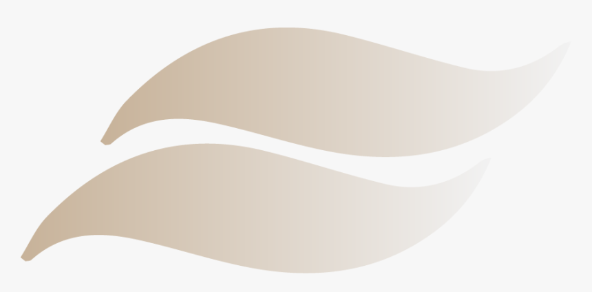 Plate Of Spaghetti - Surfboard, HD Png Download