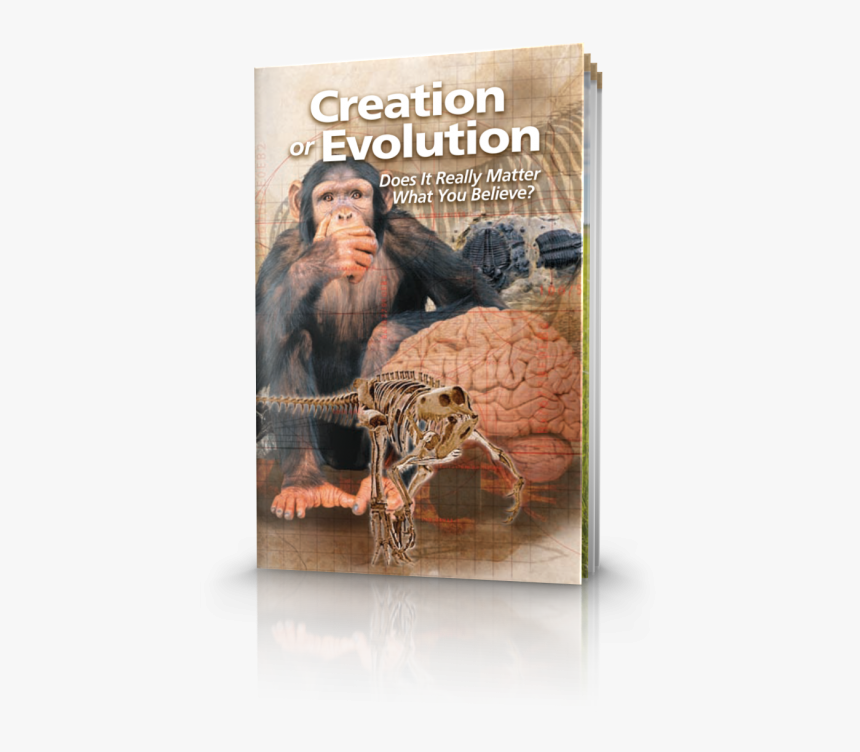 Creation Or Evolution - Do You Believe In Creation, HD Png Download
