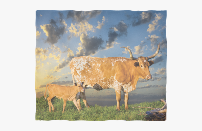Texas Longhorn Fleece Blanket - Calf, HD Png Download