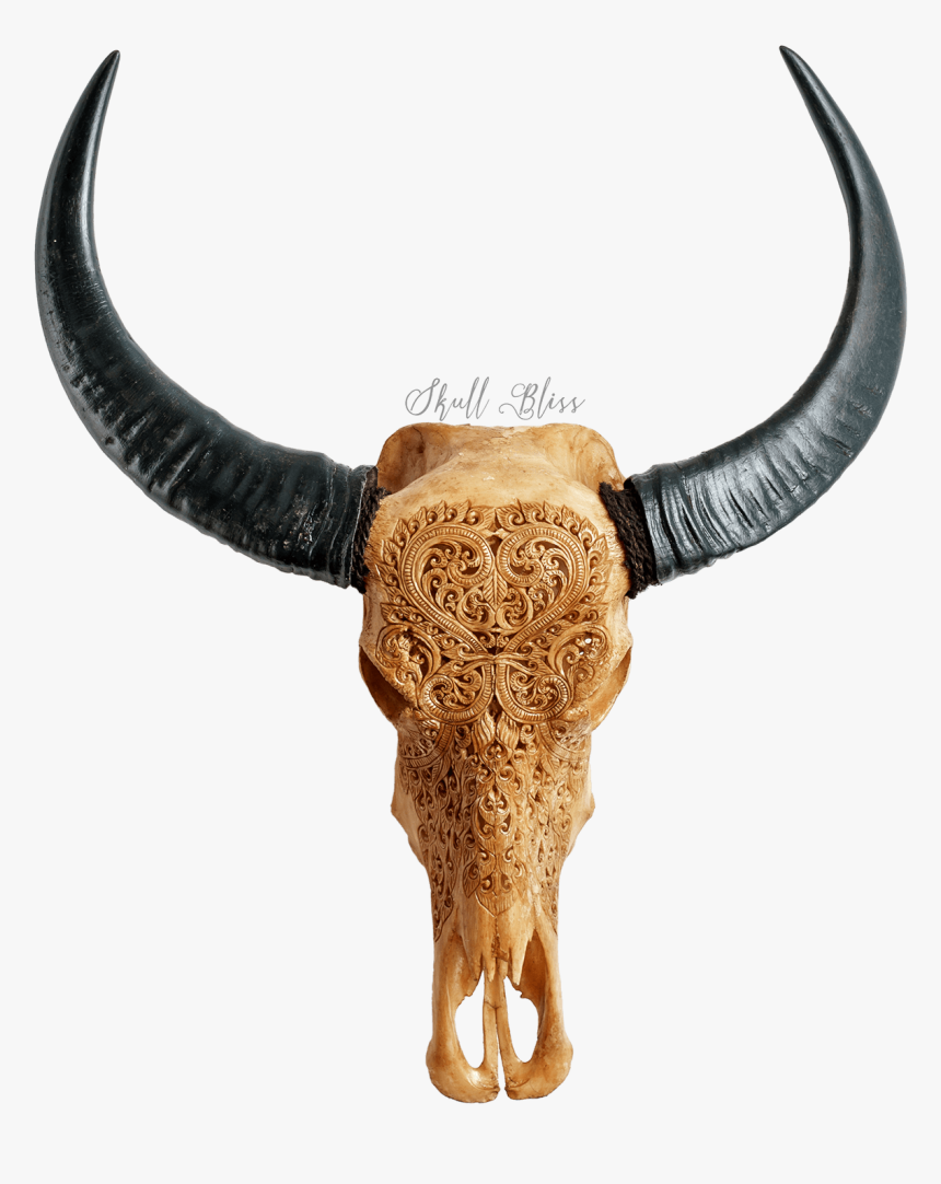 Bull, HD Png Download