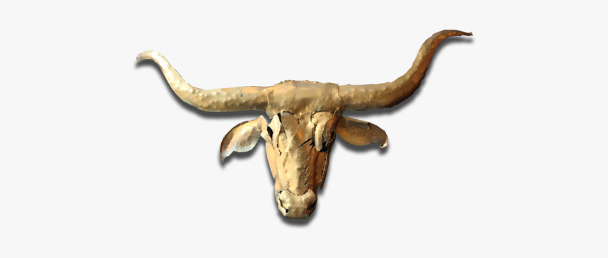 Dina S Ellicottville - Bull, HD Png Download
