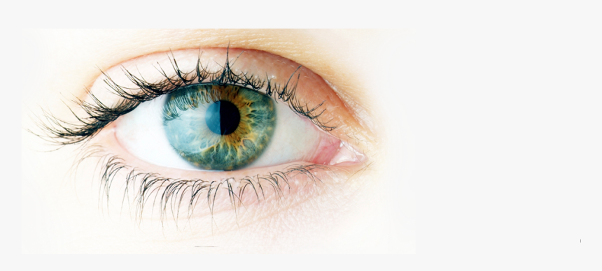 Cataract Eye Surgery In New Jersey - Imagenes Sobre El Ojo, HD Png Download