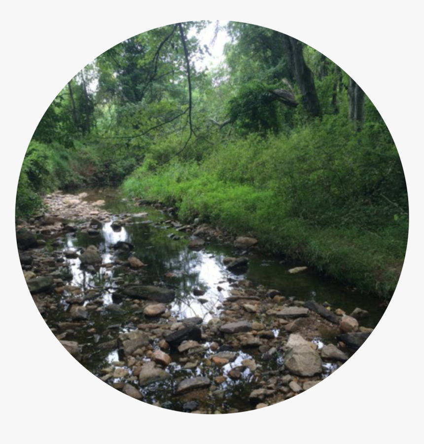 Tributary, HD Png Download