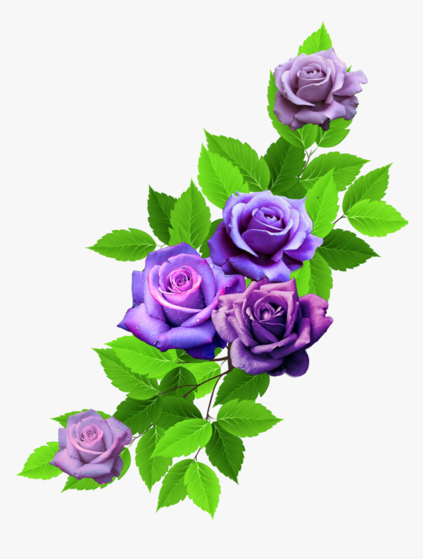 #rose #roses #nature #leaves #rainbow #rainbowflowers - Floribunda, HD Png Download