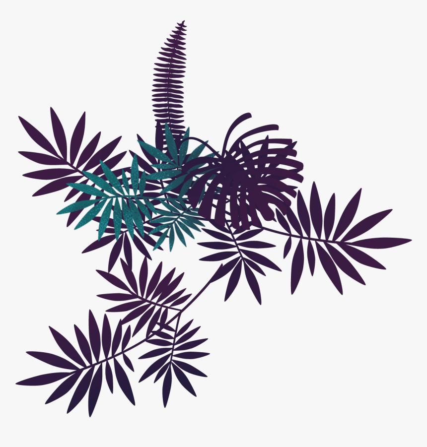 Illustration, HD Png Download