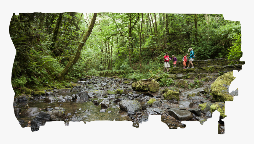 Tributary, HD Png Download