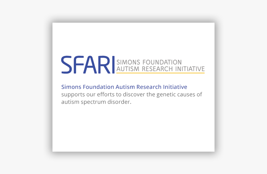 Simons Foundation Autism Research Initiative, HD Png Download