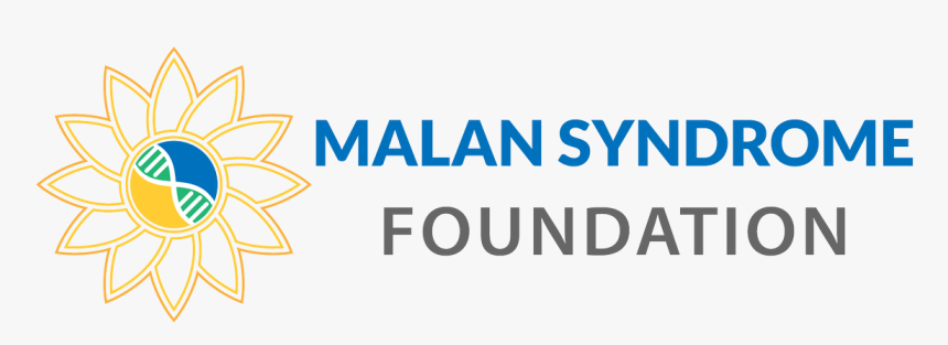 Wyndham, HD Png Download