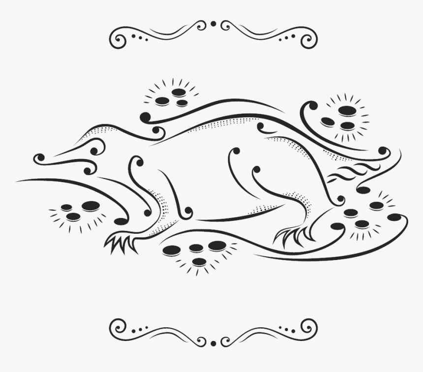 Изображение К Книге Fantastic Beasts And Where To Find - Line Art, HD Png Download