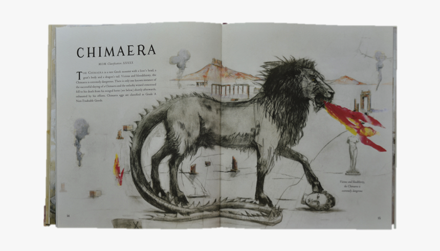 Harry Potter Chimaera Fantastic Beasts, HD Png Download