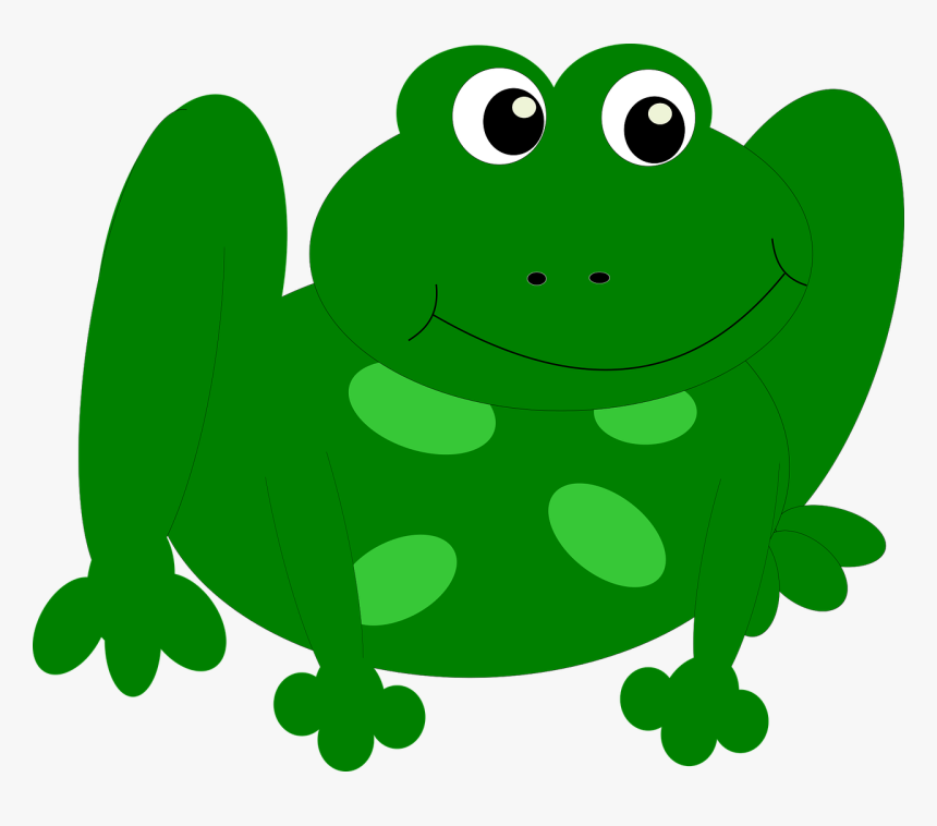Frog Fly Waterfront Free Photo - Png Vektör Kurbağa, Transparent Png