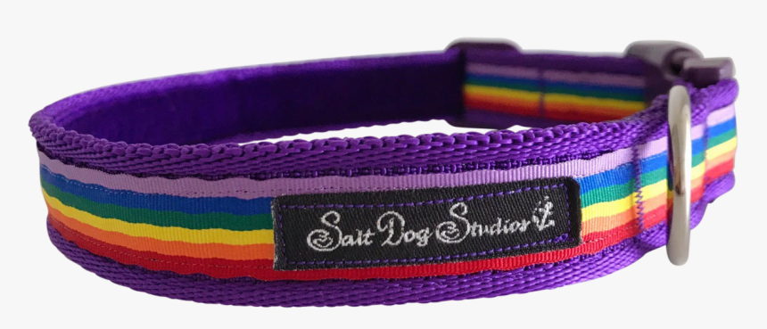 Purple Rainbow Ribbon Dog Collar - Belt, HD Png Download