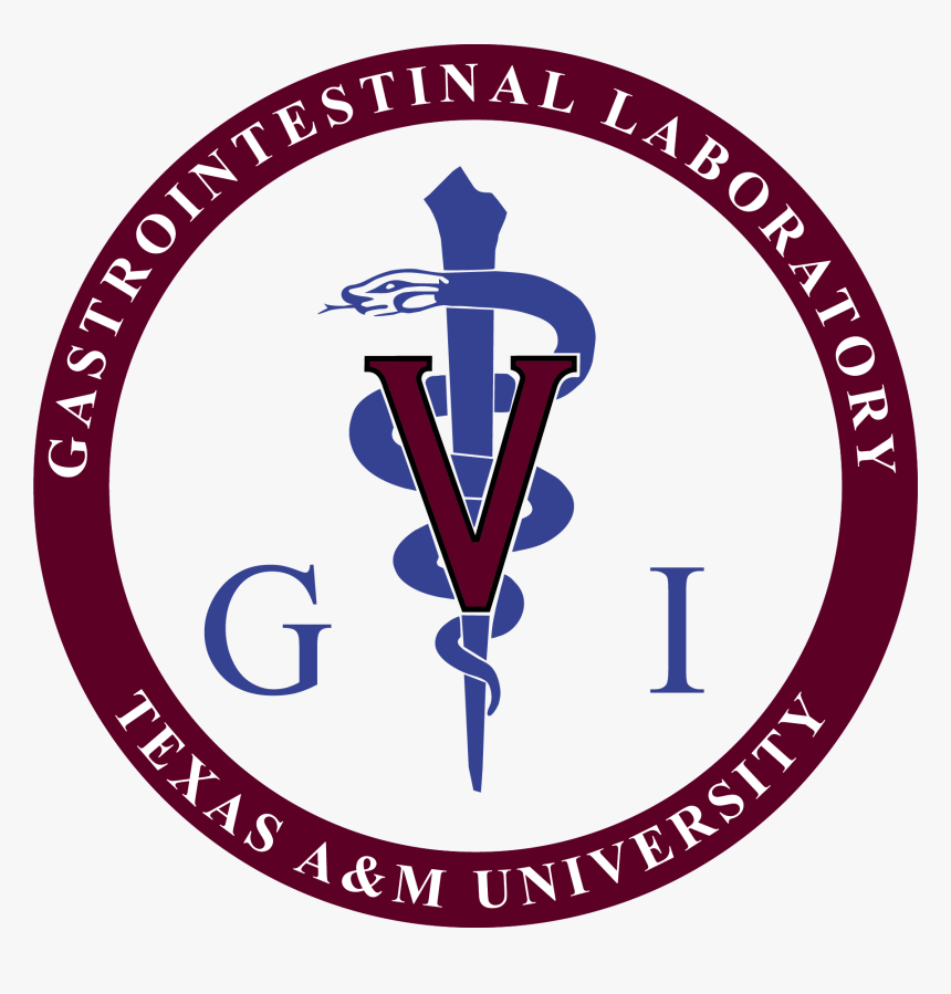 Marmara Üniversitesi, HD Png Download