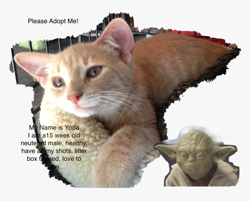 Yoda, HD Png Download