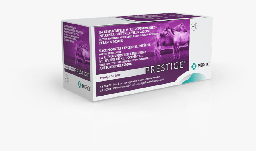 Carton, HD Png Download