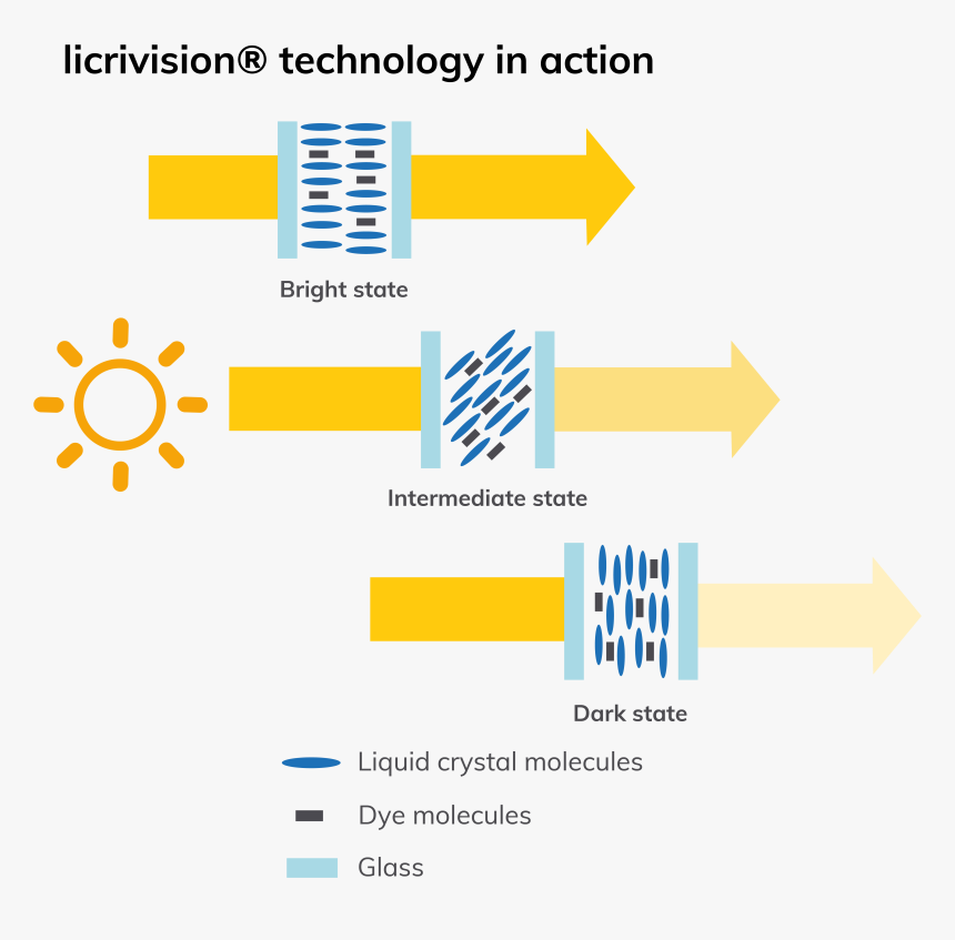 Merck Licrivision, HD Png Download