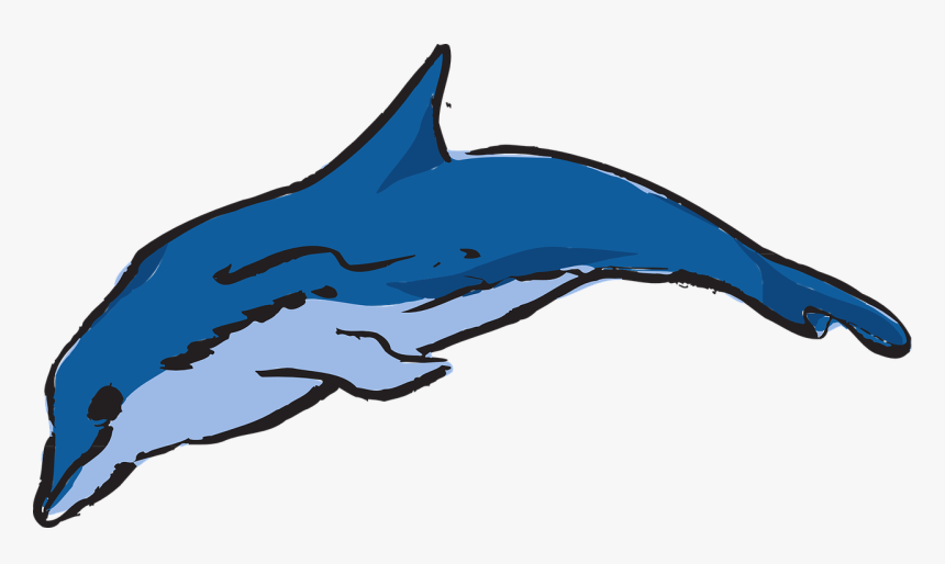 Dolphin Vector Png -dolphin Ocean Leaping - Warna Ikan Lumba Lumba, Transparent Png